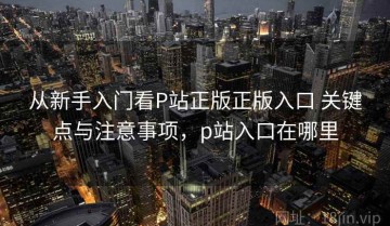 从新手入门看P站正版正版入口 关键点与注意事项，p站入口在哪里