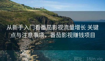 从新手入门看番茄影视流量增长 关键点与注意事项，番茄影视赚钱项目