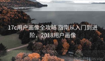 17c用户画像全攻略 指南从入门到进阶，2018用户画像