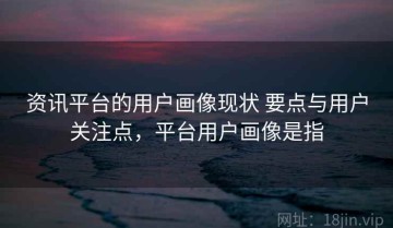 资讯平台的用户画像现状 要点与用户关注点，平台用户画像是指
