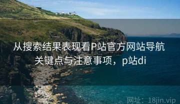 从搜索结果表现看P站官方网站导航 关键点与注意事项，p站di