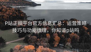 P站正规平台官方信息汇总：运营策略技巧与功能梳理，你知道p站吗