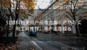 51爆料相关用户画像合集：总结与实用工具推荐，用户画像模板