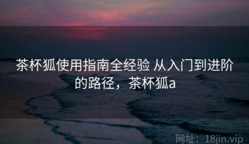 茶杯狐使用指南全经验 从入门到进阶的路径，茶杯狐a