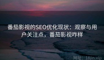 番茄影视的SEO优化现状：观察与用户关注点，番茄影视咋样