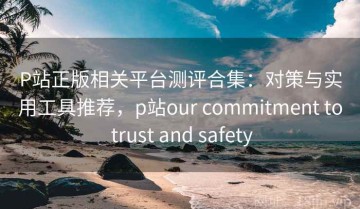 P站正版相关平台测评合集：对策与实用工具推荐，p站our commitment to trust and safety