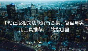 P站正版相关功能解析合集：复盘与实用工具推荐，p站指哪里