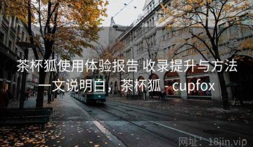 茶杯狐使用体验报告 收录提升与方法一文说明白，茶杯狐 - cupfox