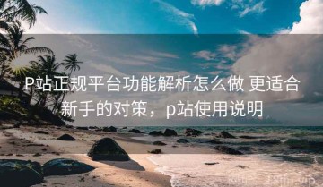 P站正规平台功能解析怎么做 更适合新手的对策，p站使用说明
