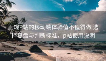 正规P站的移动端体验值不值得做 选择复盘与判断标准，p站使用说明