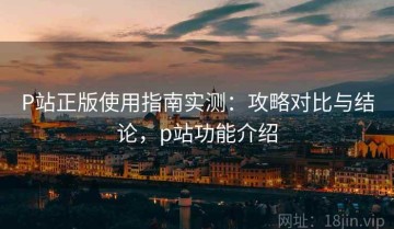 P站正版使用指南实测：攻略对比与结论，p站功能介绍