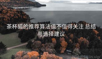 茶杯狐的推荐算法值不值得关注 总结与选择建议