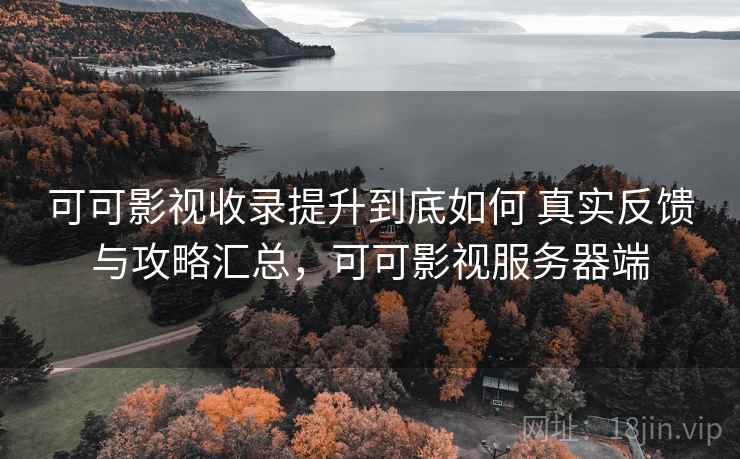 可可影视收录提升到底如何 真实反馈与攻略汇总，可可影视服务器端