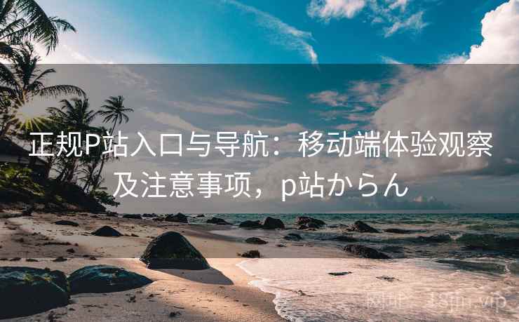 正规P站入口与导航：移动端体验观察及注意事项，p站からん