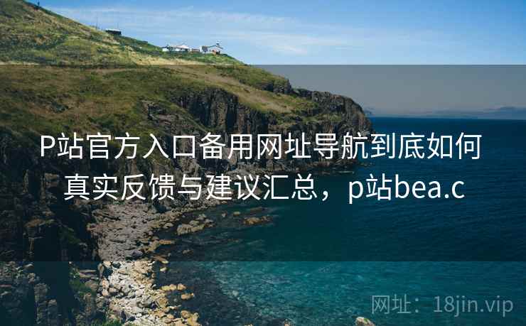 P站官方入口备用网址导航到底如何 真实反馈与建议汇总，p站bea.c
