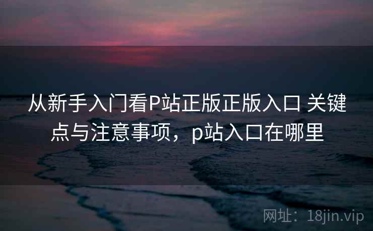 从新手入门看P站正版正版入口 关键点与注意事项，p站入口在哪里