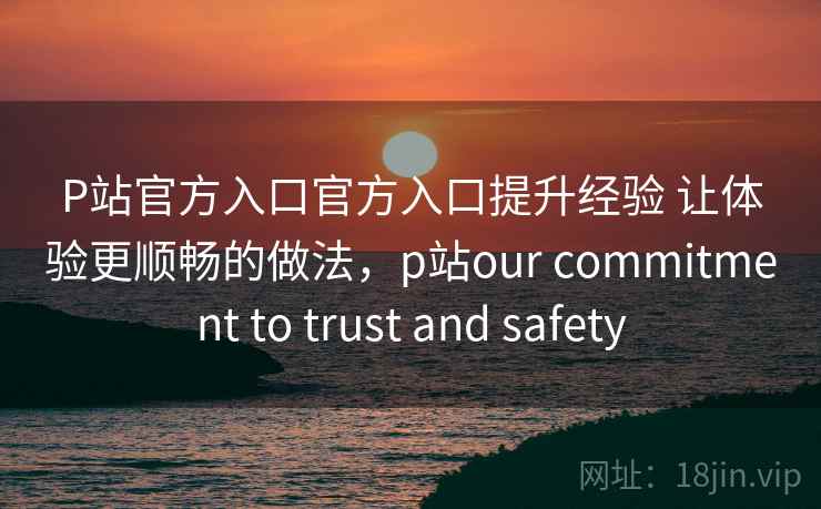 P站官方入口官方入口提升经验 让体验更顺畅的做法，p站our commitment to trust and safety