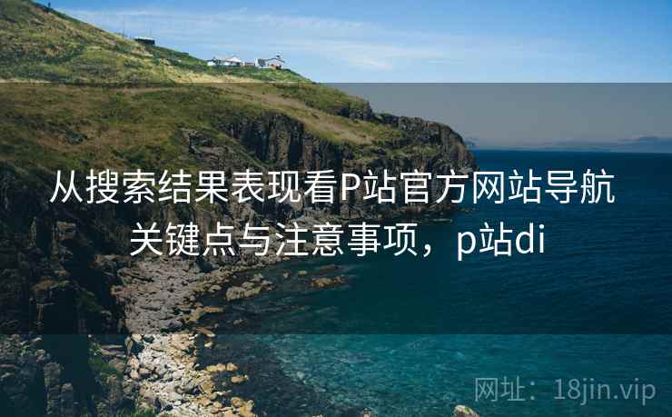 从搜索结果表现看P站官方网站导航 关键点与注意事项，p站di