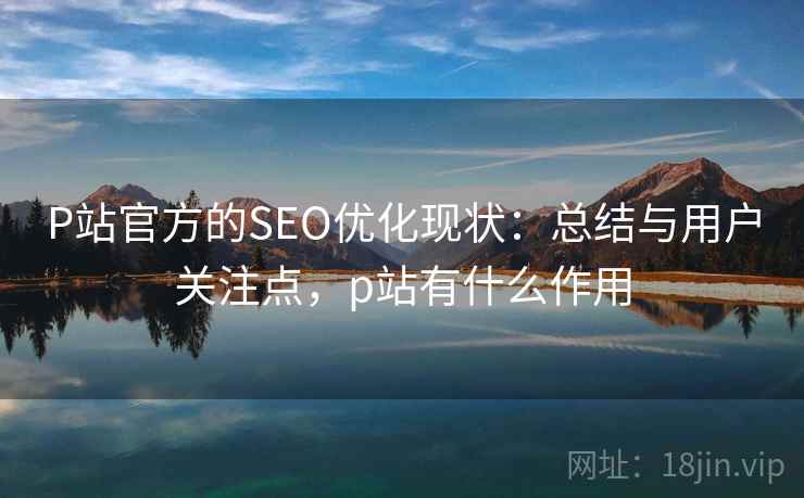 P站官方的SEO优化现状：总结与用户关注点，p站有什么作用