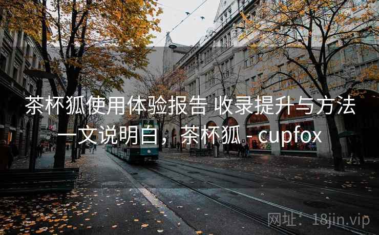 茶杯狐使用体验报告 收录提升与方法一文说明白，茶杯狐 - cupfox