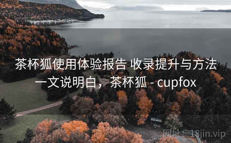 茶杯狐使用体验报告 收录提升与方法一文说明白，茶杯狐 - cupfox