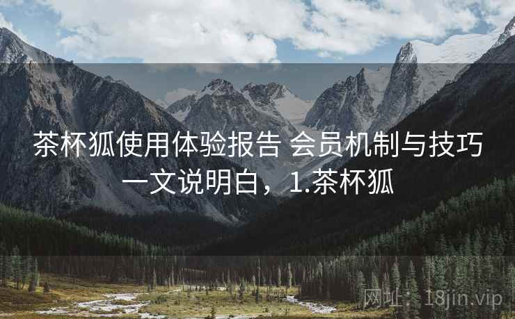茶杯狐使用体验报告 会员机制与技巧一文说明白，1.茶杯狐
