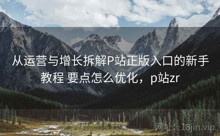 从运营与增长拆解P站正版入口的新手教程 要点怎么优化，p站zr