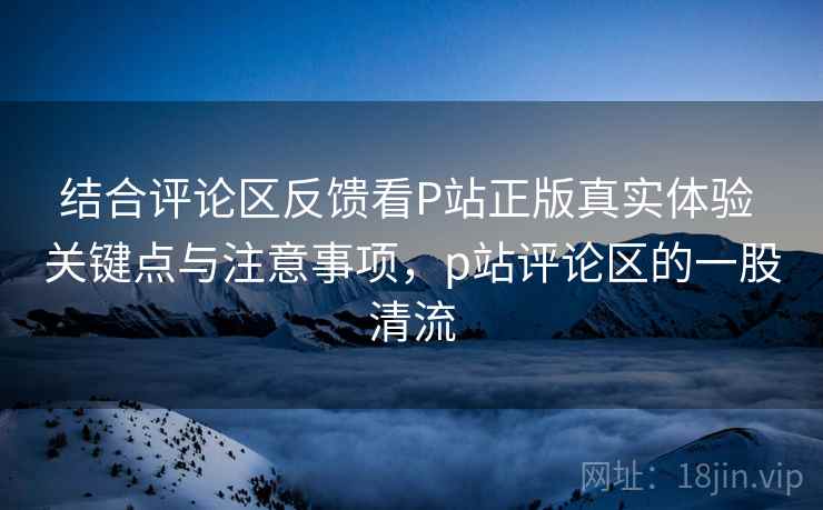 结合评论区反馈看P站正版真实体验 关键点与注意事项，p站评论区的一股清流