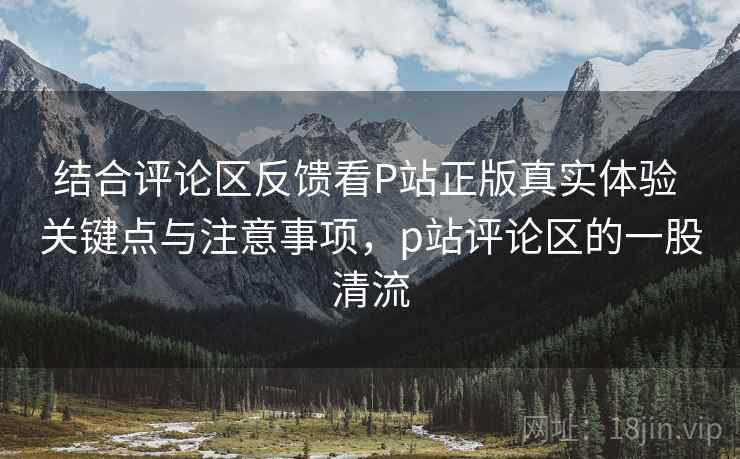 结合评论区反馈看P站正版真实体验 关键点与注意事项，p站评论区的一股清流