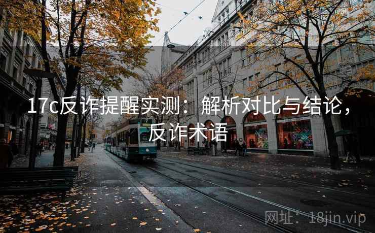 17c反诈提醒实测：解析对比与结论，反诈术语