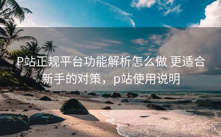 P站正规平台功能解析怎么做 更适合新手的对策，p站使用说明