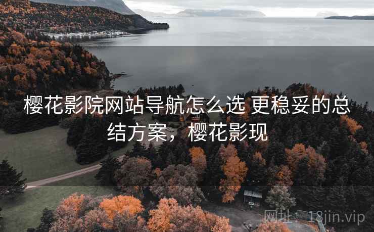 樱花影院网站导航怎么选 更稳妥的总结方案，樱花影现