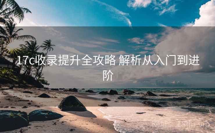 17c收录提升全攻略 解析从入门到进阶
