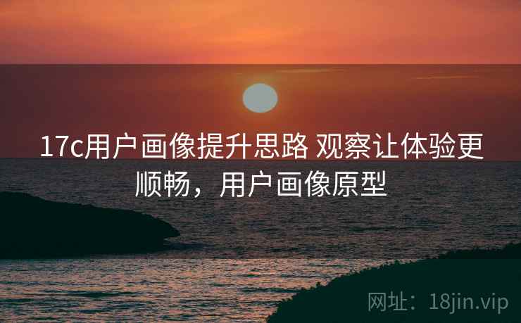 17c用户画像提升思路 观察让体验更顺畅，用户画像原型