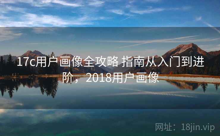 17c用户画像全攻略 指南从入门到进阶，2018用户画像