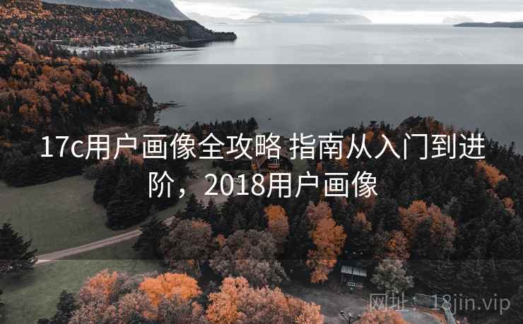 17c用户画像全攻略 指南从入门到进阶，2018用户画像