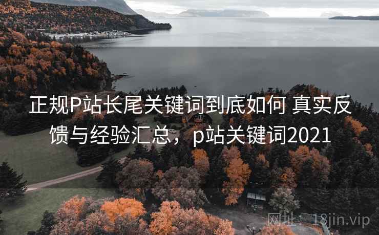 正规P站长尾关键词到底如何 真实反馈与经验汇总，p站关键词2021